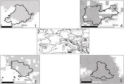 Applying Participatory Processes to Address Conflicts Over the Conservation of Large Carnivores: Understanding Conditions for Successful Management